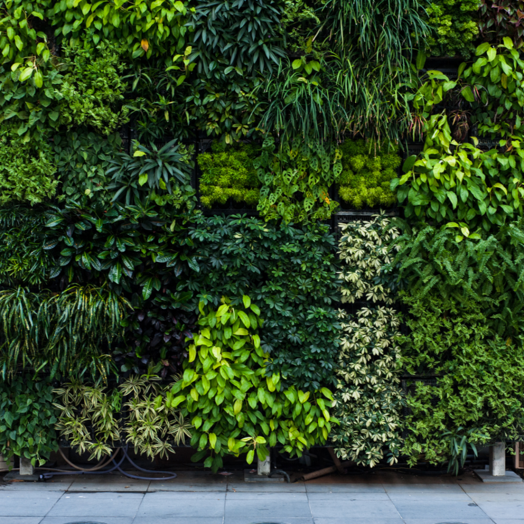 Jardim vertical