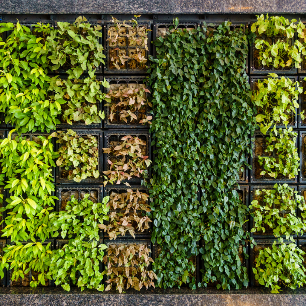 PlantaeCia 16 Ideias de Paisagismo para Jardins Encantadores