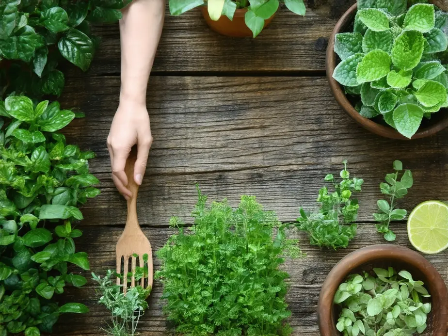 Plantas que auxiliam na perda de gordura.