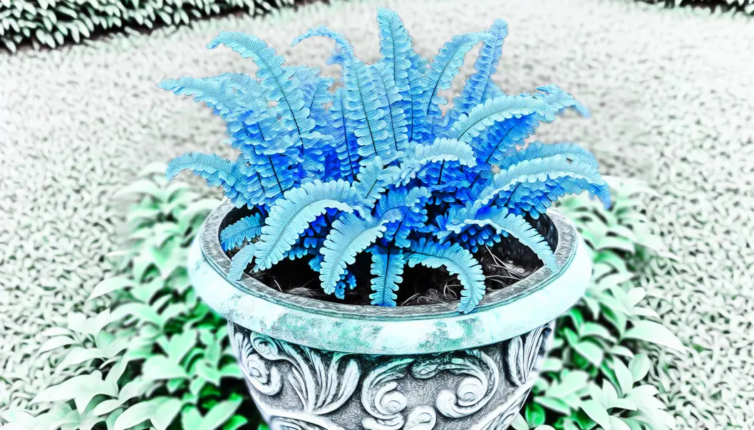 Samambaia de Boston: A planta ideal para cultivar em qualquer espaço.