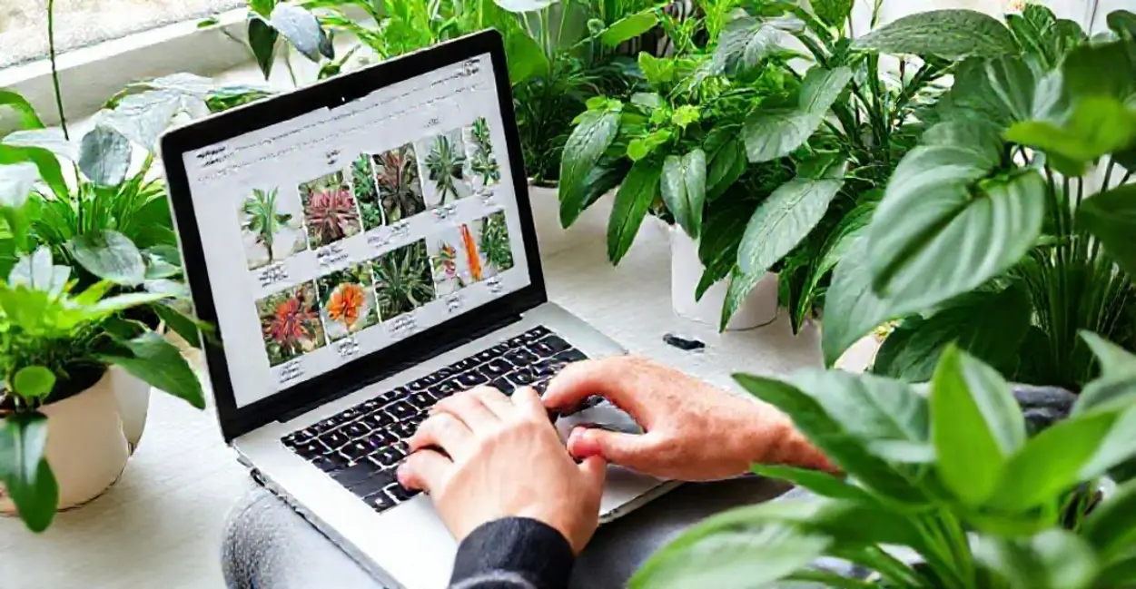 Descubra o Poder da Pesquisa Digital: Como Encontrar Plantas Medicinais Eficazes para Sua Saúde 1 A Importância da Pesquisa Digital para a Saúde Natural