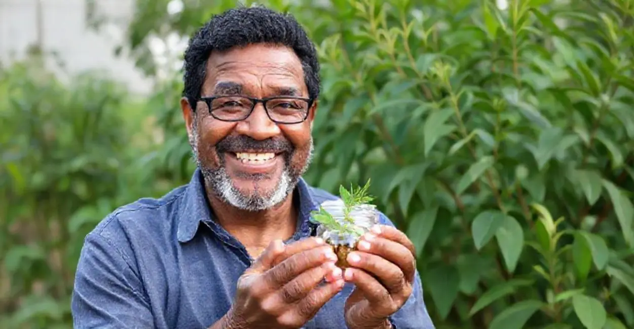 Estudos de Caso: Sucesso com Plantas Medicinais